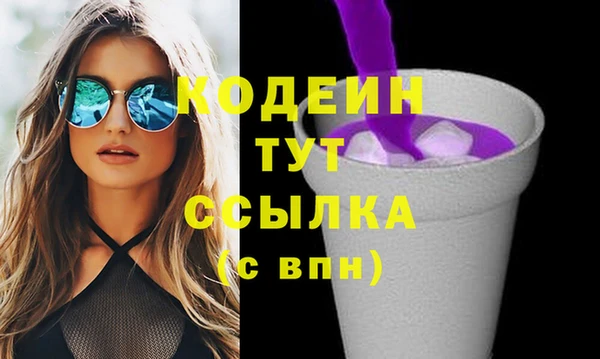 молекула духа Елизово