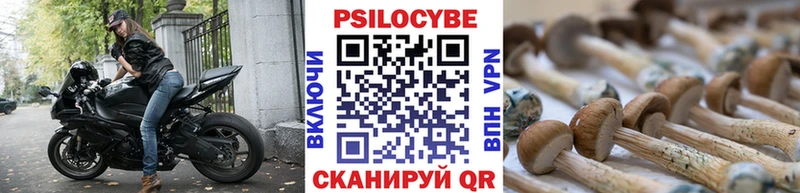 Галлюциногенные грибы мицелий  Купить  Калининец 