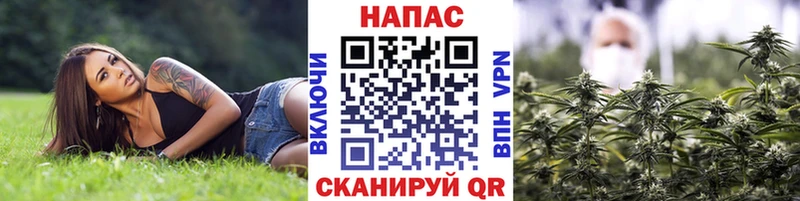 Бошки Шишки OG Kush  Купить где  Калининец 